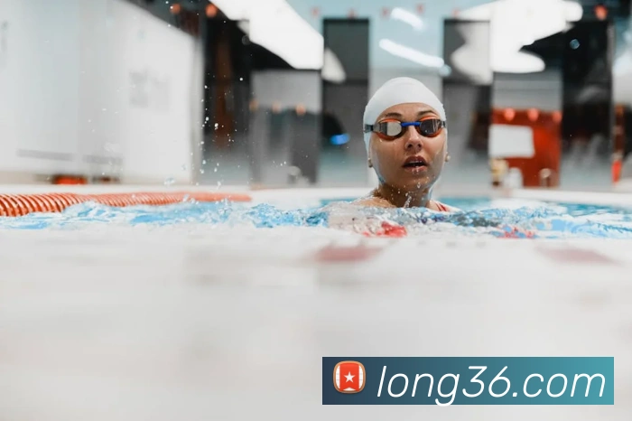 龙8-long8(国际)官方网站APP 封面图